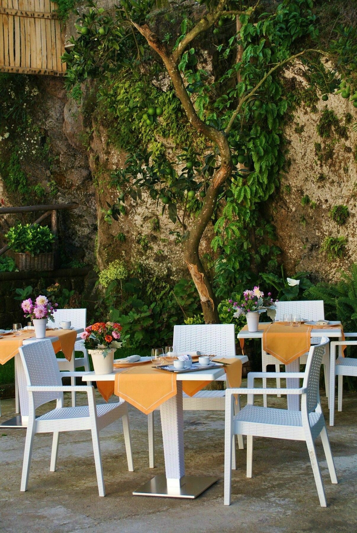 Il Palmento Relais Bed & Breakfast Piano di Sorrento Dış mekan fotoğraf